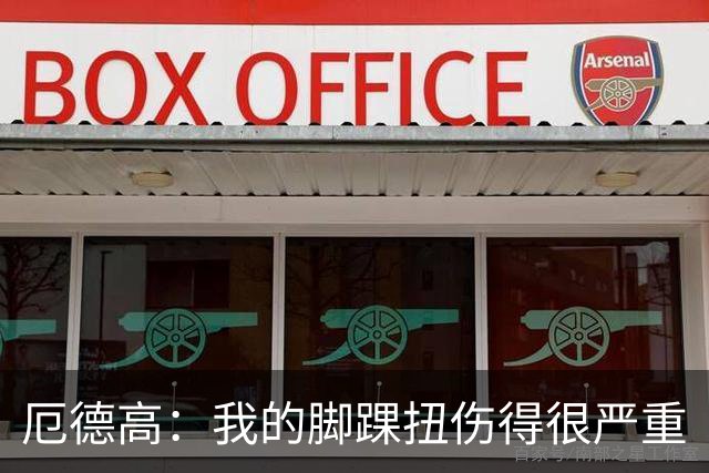 厄德高：我的脚踝扭伤得很严重
